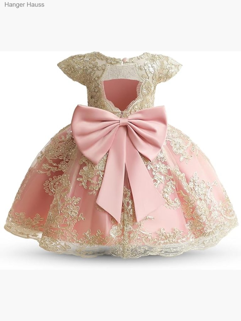 Kids Princess Tutu Dress Lace Embroidery Party Gown Wedding Flower